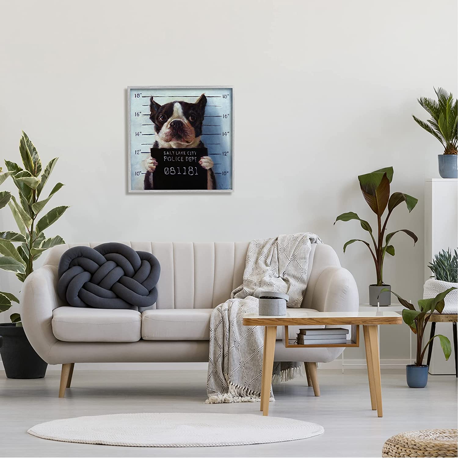Stupell Industries Funny Boston Terrier Dog Jail Convicted Police Framed Wall Art, 24 x 24, Design by Lucia Heffernan
