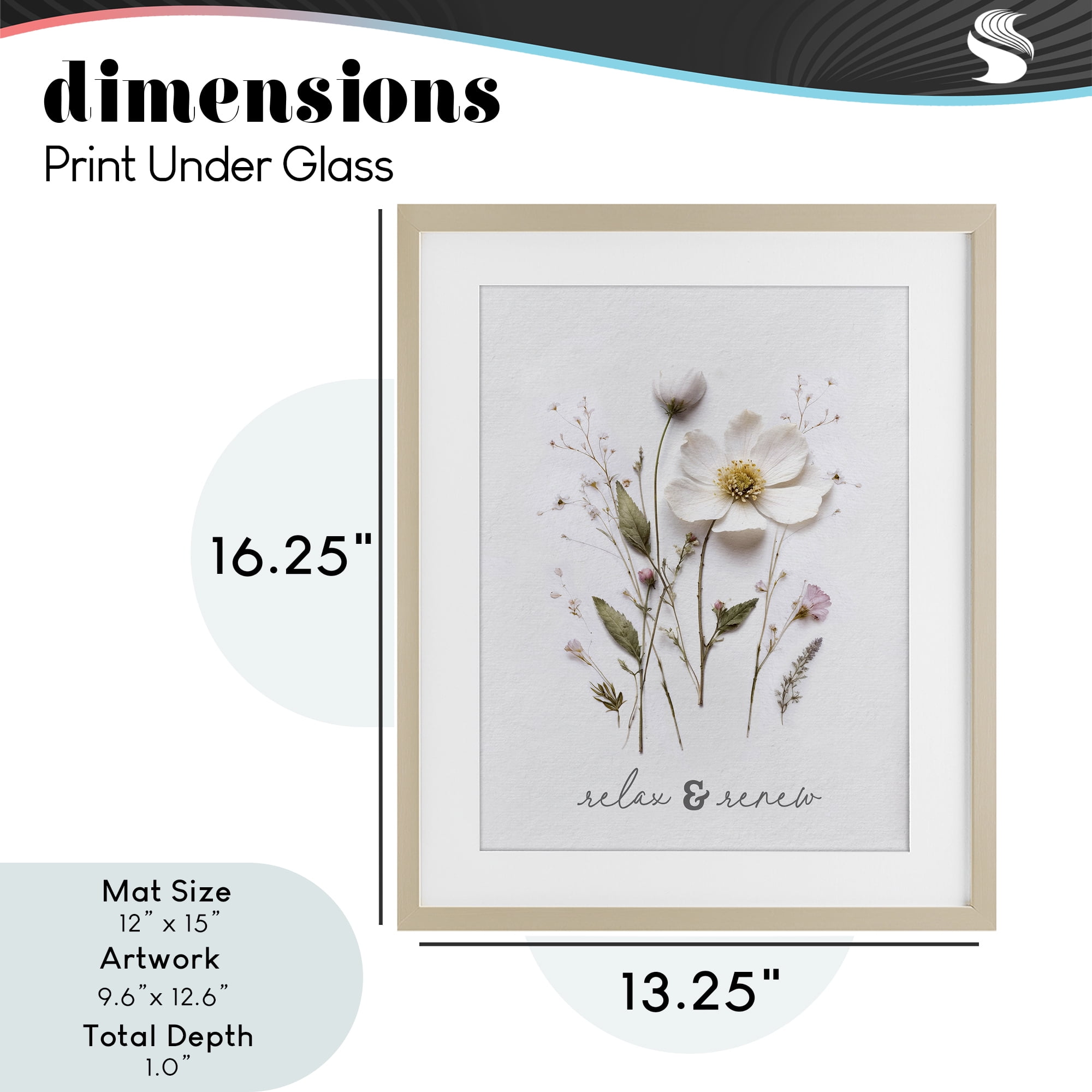 Pressed Flower Relax & Renew Birch Framed Print Under Glass, design by Lettered and Lined