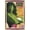 Gold Framed Version, variant on Marvel Comics - She Hulk Card Wall Poster, 22.375" x 34"