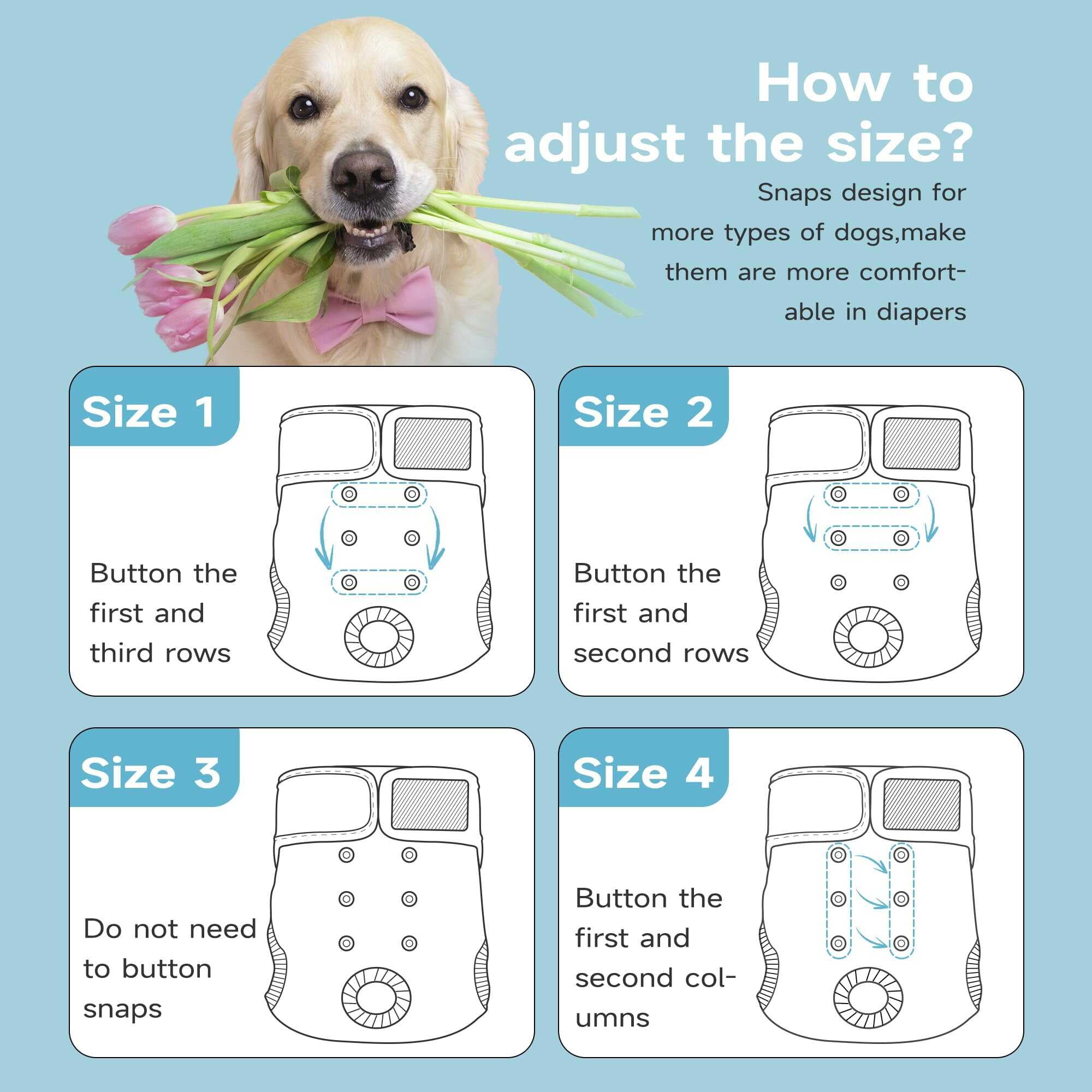 Paw Legend Reusable Female Dog Diapers Pack of 3, No Leak Doggie Diapers for Heat Cycle, Morandi, Large