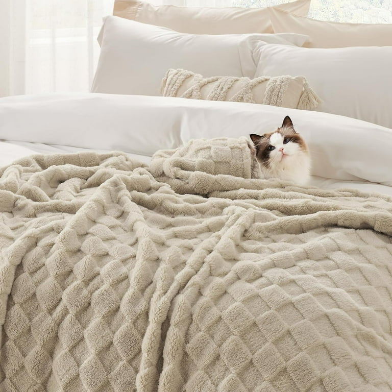 Cozy queen blanket sale