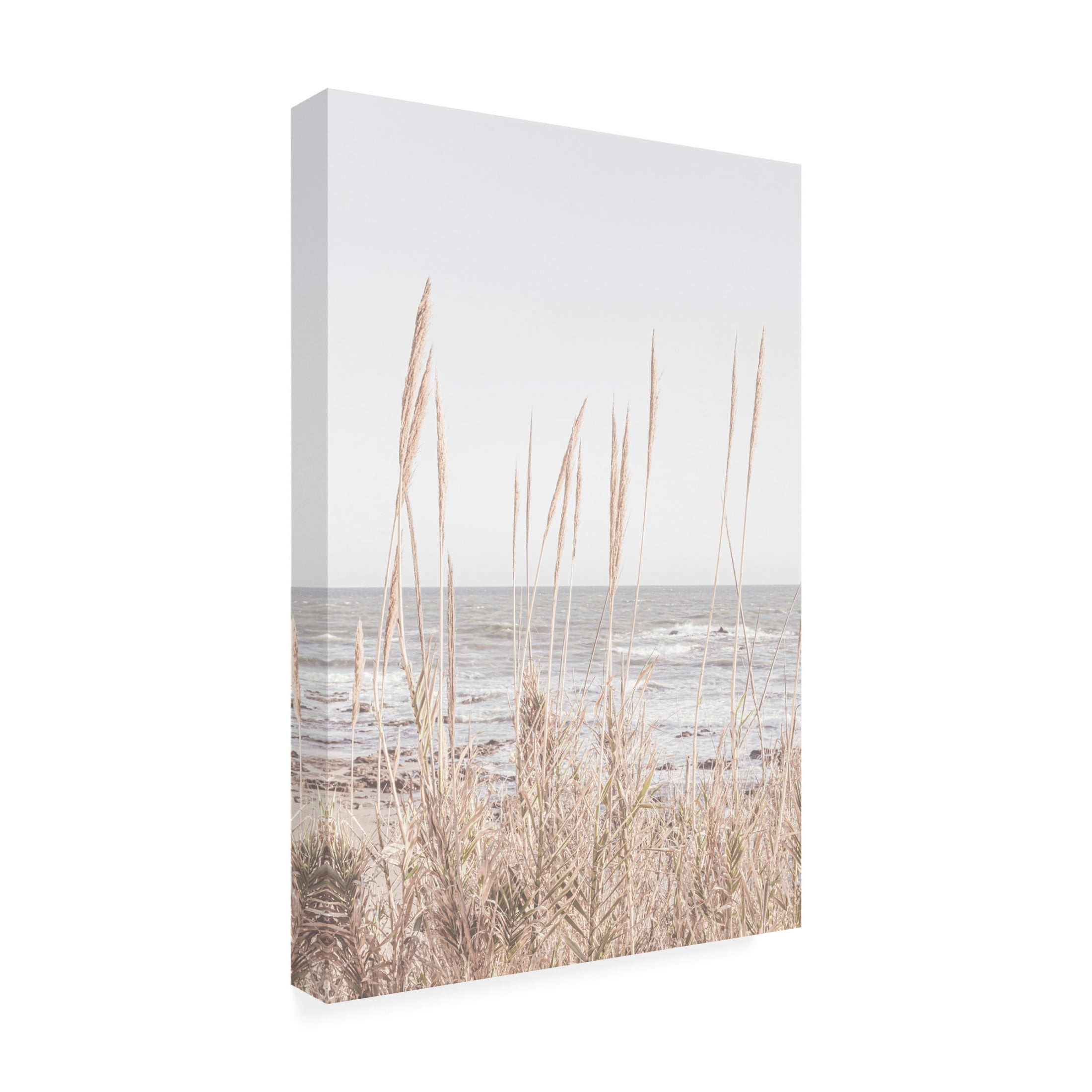 Trademark Fine Art Pictufy Studio Beach Vass Canvas Wall Art