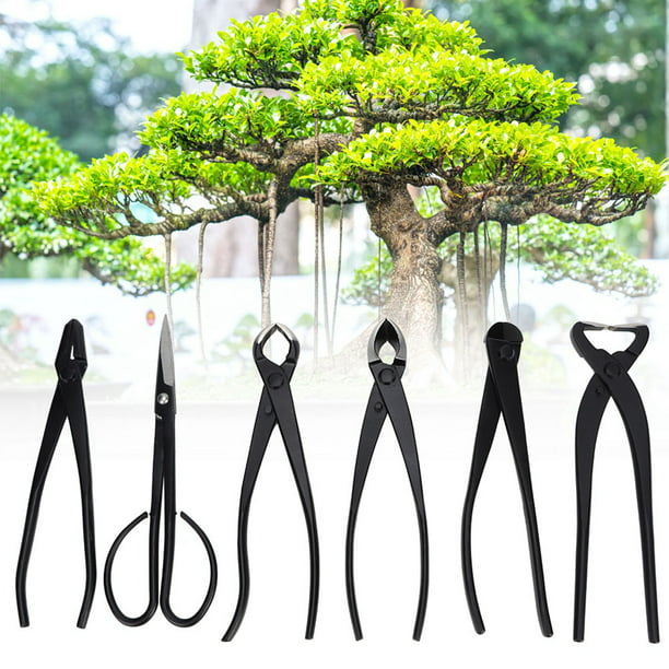 kit d'outils de jardinage pour bonsaï, 25 pièces en acier au carbone pour  intérieur et extérieur, sac d'entretien pour arbre avec fi