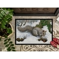 thumbnail image 3 of Carolines Treasures ASA2180JMAT Écureuil Gris Tapis Intérieur Ou Extérieur- 24 x 36, 3 of 4