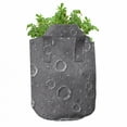 thumbnail image 3 of Space Grow Bags 5-Pack, Asteroid Surface Crater, Heavyduty Fabric Pots with Handles for Plants, 2 Sizes, Dimgrey, by Ambesonne, 3 of 3
