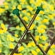 thumbnail image 4 of unbranded 50Ud Protectores Para Cañas De Bambú De Jardín Color Con Flexible, 4 of 8