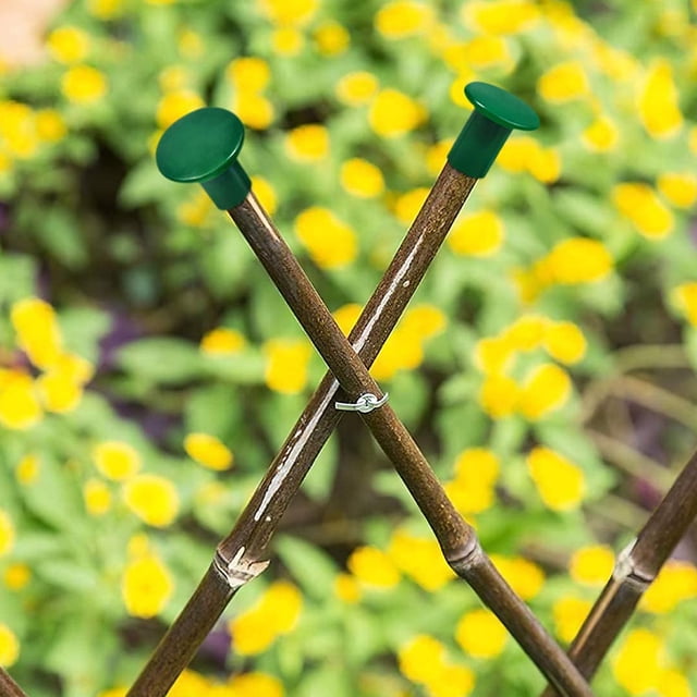 Hytrove 50Ud Fundas Para Cañas De Jardín De Plástico Resistente Y Ligero