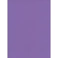 thumbnail image 1 of Mi-Teintes Tinted Paper parma, 19 in. x 25 in. (pack of 10), 1 of 5