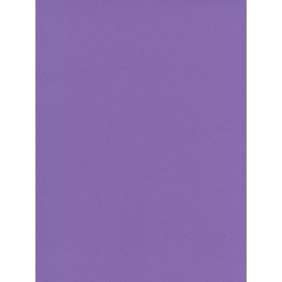 Mi-Teintes Tinted Paper parma, 19 in. x 25 in. (pack of 10)