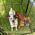 thumbnail image 3 of omitree Modular Dog Kennel with Heavy Duty Welded Steel Panels and Pet Cover, 5' W x 10' L x 5.5' H, 3 of 14