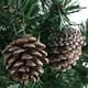 thumbnail image 4 of 6 conos de pino de Navidad de 1.96 pulgadas con punta de nieve, conos de pino natural, adornos de cono de pino esmerilado de madera para decorar y diseñar (6 piezas) Xemadio WRJM-374-3, 4 of 6