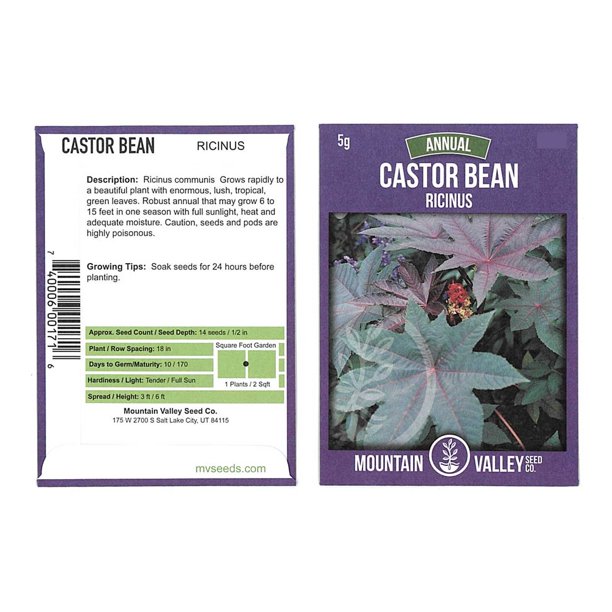 Castor Bean Seeds 5 Gram Packet NonGMO Tropical Ornamental House