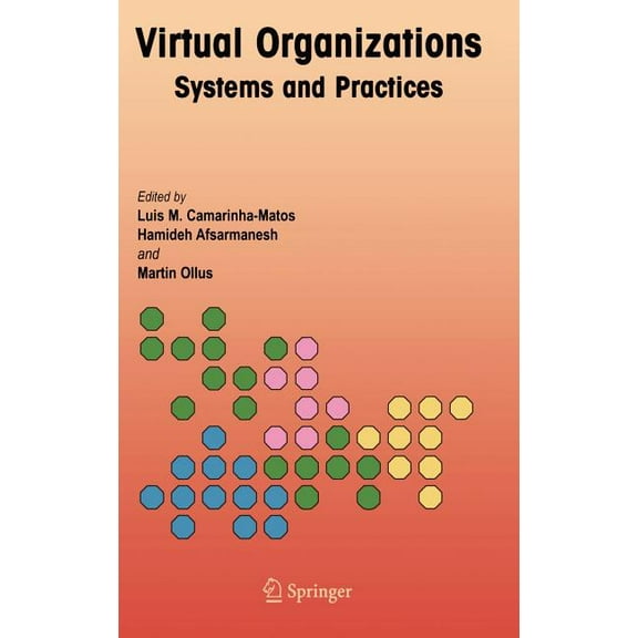 Virtual Organizations: Systems and Practices, (Hardcover)
