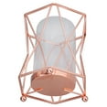 thumbnail image 3 of Plant Vase, Modern Transparent Glass Flower Pot  For Living Room For Office, 3 of 8