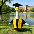thumbnail image 5 of Tyidzon Graduation Gown and Cap Porch Goose Outfits, 23 inch Porch Goose Costume for Outdoor Patio Yard Lawn Garden Party Decor, 5 of 7