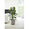 thumbnail image 4 of Ecopots Oslo Durable Modern Round Indoor/Outdoor Recycled Based Composite Flower Pot Planter, Taupe, 14", 4 of 4