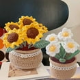 thumbnail image 3 of Tnobhg Crochet Potted Flower Decoration Handmade Colorful Tulip Rose Shape Woolen Yarn Hand-knitted Flower Desktop Ornament Birthday Gift, 3 of 8