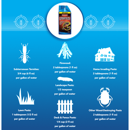BioAdvanced Carpenter Ant & Termite Killer Plus, Concentrate, 40 Oz
