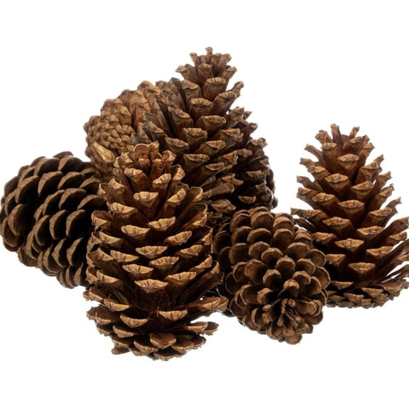 8 Pack Pine Cones - 3.5 inch Large Size - Handmade Decorated Pine Cones - Christmas Atmosphere Decoration