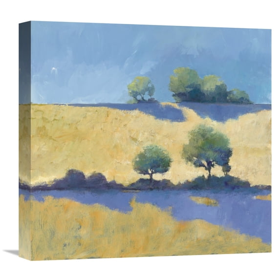 Global Gallery Avery Tillmon 'Shadows Crop' Canvas Wall Art