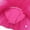Rose, variant on DPOIS Kids Ballet Dance Shorts Sleeve Leotard Gymnastic Tulle Tutu Skirt Dancewear