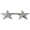 Silver, variant on Hero’s Pride 5-Point Star Pins – Pair, 5/8", Silver Finish, 2 Posts & Clutch Backs