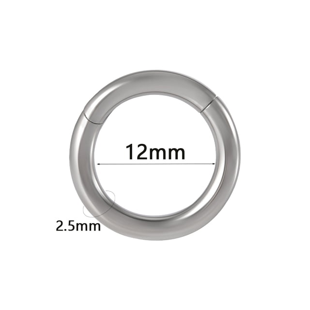 1PC Surgical Steel Septum Clicker Segment Hinged Ring Nose Eyebrow Lip Hoop Ear Cartilage Tragus Helix Ear Lobe Piercing Jewelry