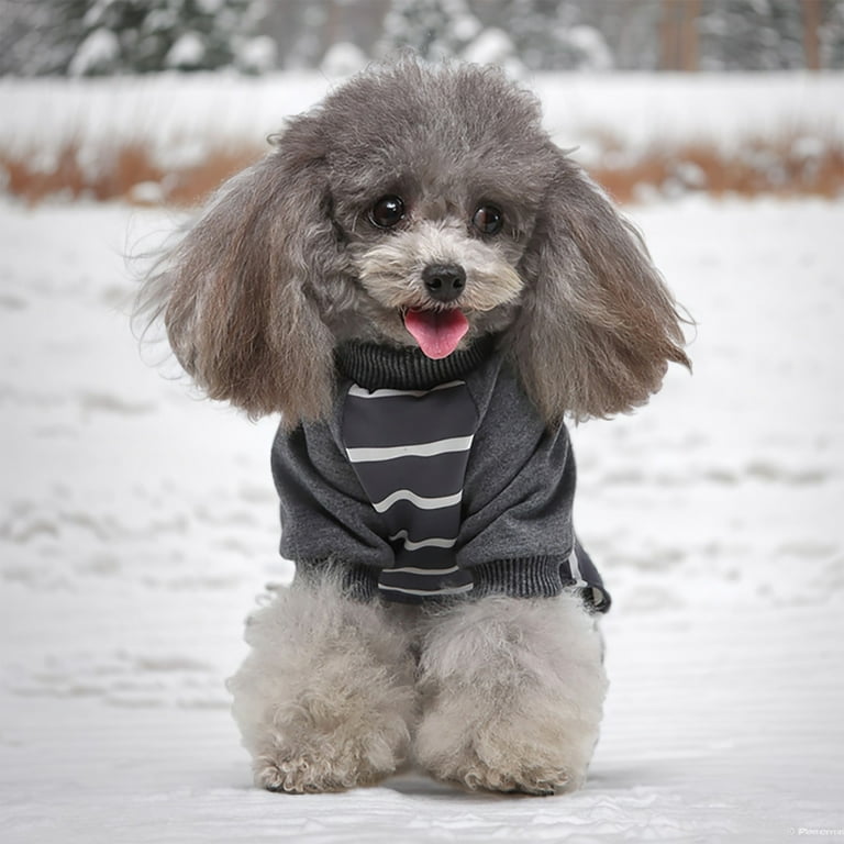 ZHENYANGli Dog Sweaters for Small Dogs Male Shihtzu Pet Clothes