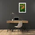 thumbnail image 3 of Engelbrecht, Lisa S. 11x14 White Modern Wood Framed Museum Art Print Titled - Multi-colored Lantana, 3 of 4
