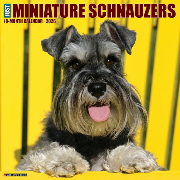 Miniature Schnauzers 2026 Wall Calendar, (Paperback)