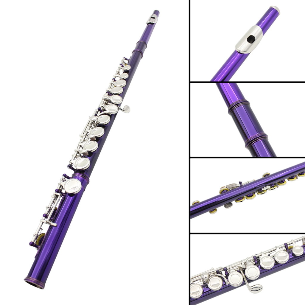 Closed Hole C Flute 16 Keys Flutes Professional Horizontal Flute With Bag Cloth Stick Woodwind Instrument