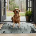 thumbnail image 4 of FANNA Birds Forest Fog Non-Slip Durable Household Doormat Pet Mat Entrance Mat for Home Outside Entry 19.68*39.37 in, 4 of 6