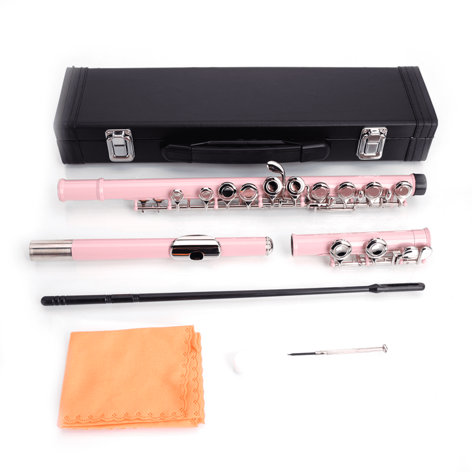 Hassch 16 Key Closed Hole C Flute with Case, Beginners Kit with Cloth, Screwdriver, Lubricant and Cleaning Rod for Learning, Pink