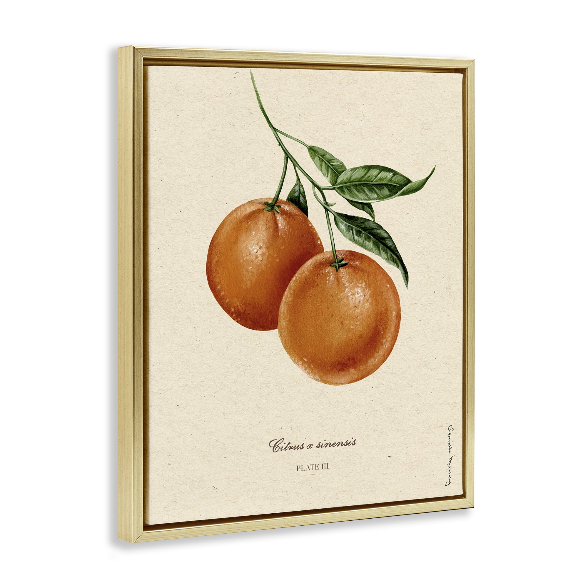 Stupell Industries Orange Fruit Portrait Gold Framed Floater Canvas Wall Art, design by Danielle Murray