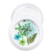 thumbnail image 4 of Uñas 3D Flores Secas DIY Diseño de Uñas Decoración Herramienta de Manicura - 4 4 Baoblaze  Flor seca de uñas, 4 of 8