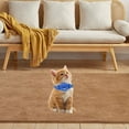 thumbnail image 4 of Durable Nylon Pet Collar For Small Dogs And Cats Adjustable And Versatile Design Ideal For Everyday Use And Outdoor Activities Comfortable Fit Perfect For And Training, 4 of 4