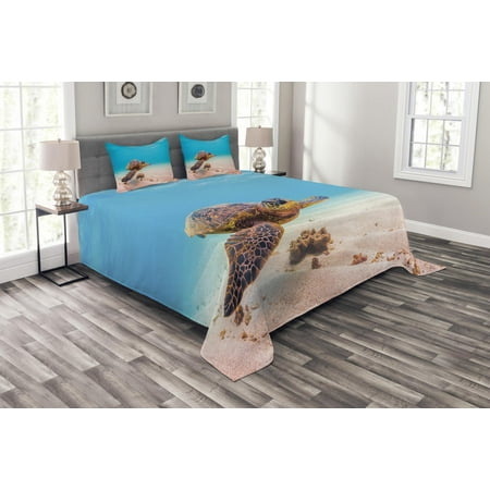 Turtle Bedspread Set Hawaiian Green Sea Turtle Cruises In Warm