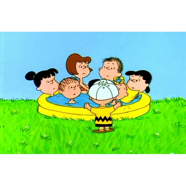 Peanuts 1960's Collection：美品DVD Peanuts 1960's Collection [DVD]: Amazon.co.uk: DVD & Blu-ray