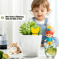 thumbnail image 3 of GJX 30 Pack Sticky Fruit Fly Trap and Fungus Gnat Traps for Indoor & Outdoor Disposable Bug Sticker Use for Mosquitos Insects Protect The Plant Non-Toxic And Odorless-Butterfly Shaped, 3 of 7