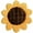 M, variant on Pebbuoy Sunflower Throw Pillow Wear Resistant Washable Non-Fading Flower Shaped Floor Pillow Decorative Sofa Couch Cushion