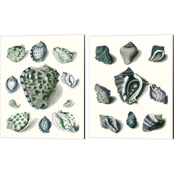 Great Art Now Celadon Shells by Vision Studio 2 Piece Canvas Art Set Each 12W x 15H