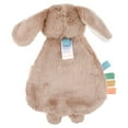 thumbnail image 5 of Itzy Ritzy Lovey - Billie the  Bunny Lovey Teether, 5 of 7