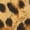 8LD22042104, variant on Leopard Running Shoes for Women Tennis Walking Shoes Fashion Sneakers