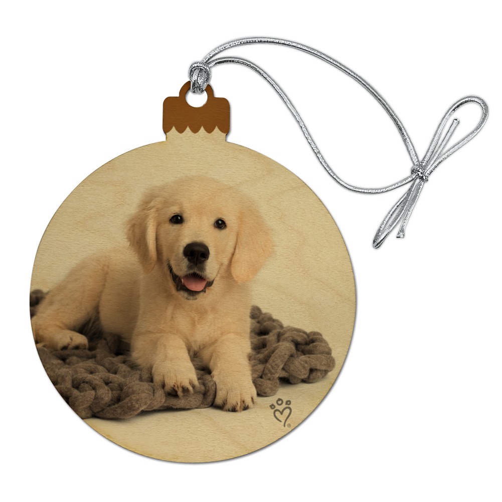 christmas golden retriever puppies