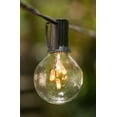 thumbnail image 3 of Patio & Bistro Lights Globe String Lights 2 in. Rice Light Bulbs 50 ft. Black Wire Clear, 3 of 3