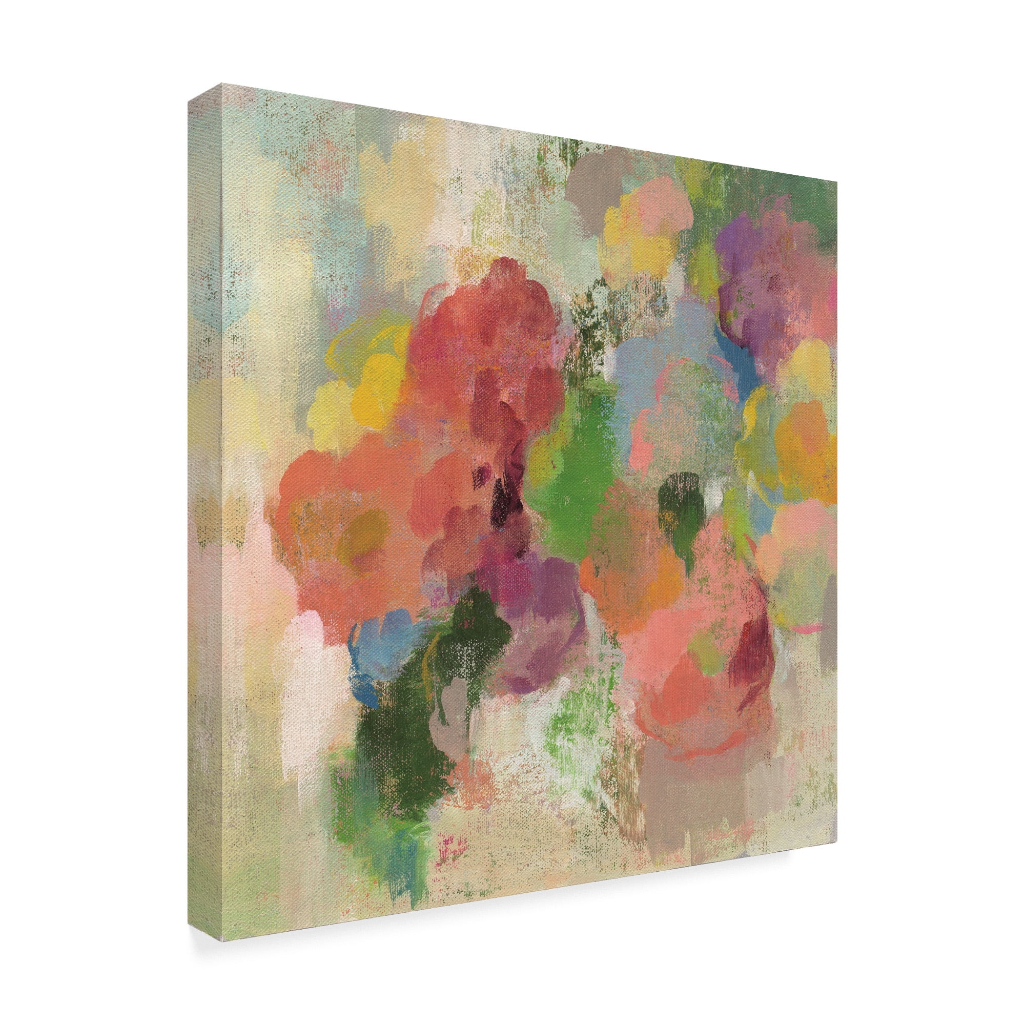 Trademark Fine Art 'Colorful Garden III' Canvas Art by Silvia Vassileva