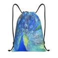 thumbnail image 1 of Gaeub Peacock Drawstring Backpack Bag Sport Gym Sackpack Heavy Duty String Backpack for Men Women-Medium, 1 of 6