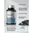 Glucosamine Chondroitin MSM Plus Turmeric 360 Mini Coated Tablets by