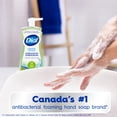 thumbnail image 3 of Dial Antibacterial Foaming Hand Wash, Fresh Pear Scent, 221ml, Dermatologist Tested, pH Balanced, Free from Silicones, Parabens, Phthalates, SLES/SLS, 3 of 9