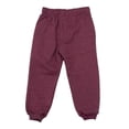 thumbnail image 2 of Jogger Harry Potter para Niño Estampado Pierna Vino Talla 10, 2 of 4